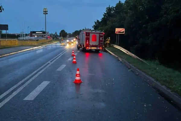 Strażacy z OSP Śrem usuwali powalone drzewo