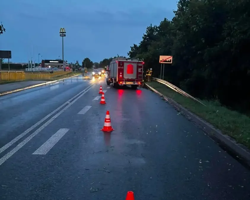 Strażacy z OSP Śrem usuwali powalone drzewo