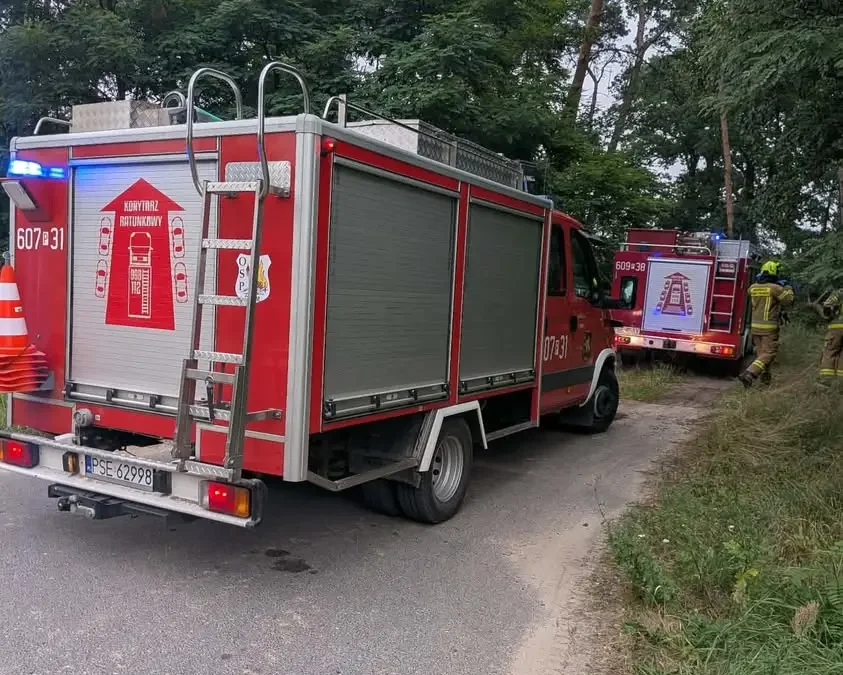 Mężczyzna przygnieciony przez gałąź w Zbrudzewie – interwencja służb