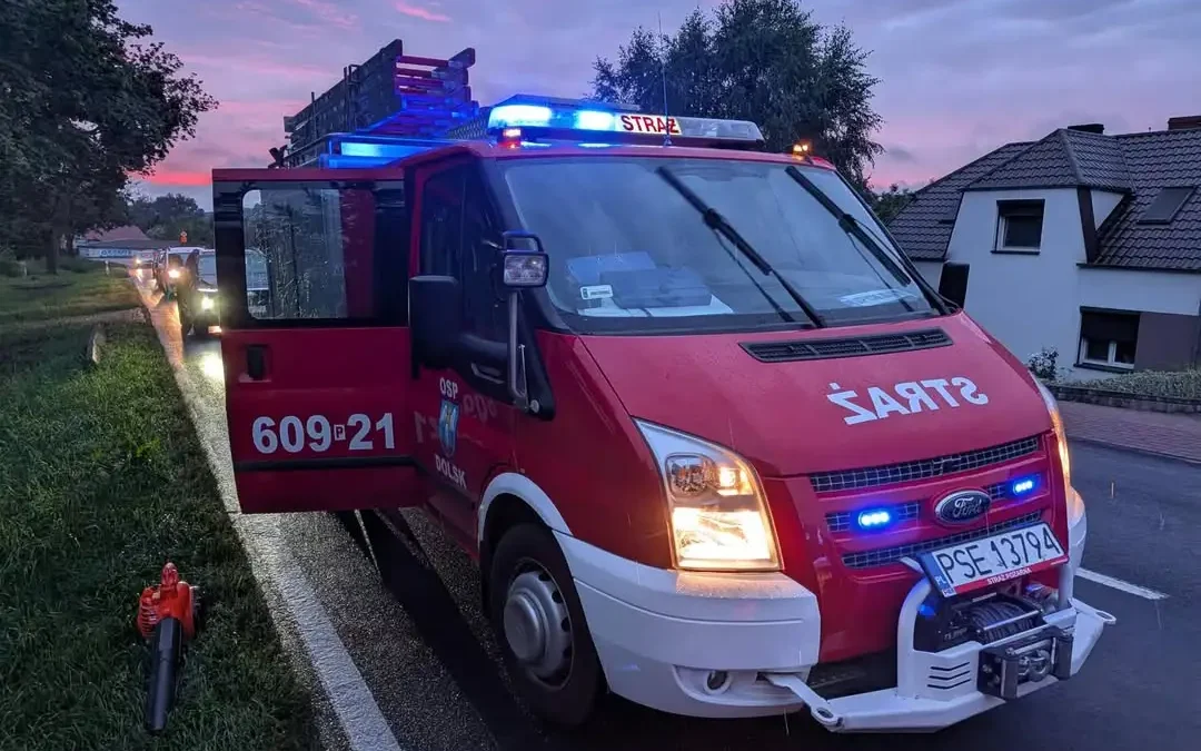 Powalone drzewo na drodze wojewódzkiej 434 w Dolsku – interwencja OSP