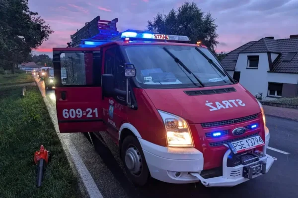 Powalone drzewo na drodze wojewódzkiej 434 w Dolsku – interwencja OSP
