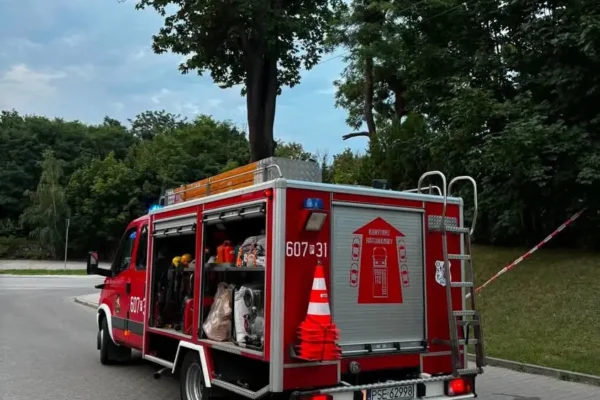 Interwencje OSP Śrem: usuwanie owadów błonkoskrzydłych w Śremie i Psarskiem
