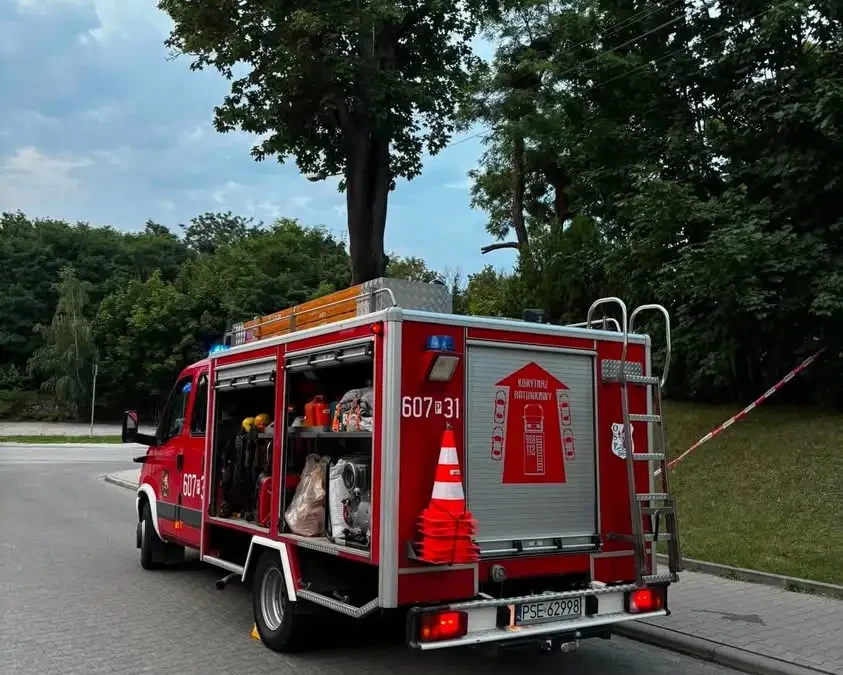 Interwencje OSP Śrem: usuwanie owadów błonkoskrzydłych w Śremie i Psarskiem