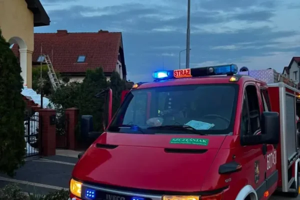 Alarm OSP Śrem: interwencja w związku z owadami błonkoskrzydłymi