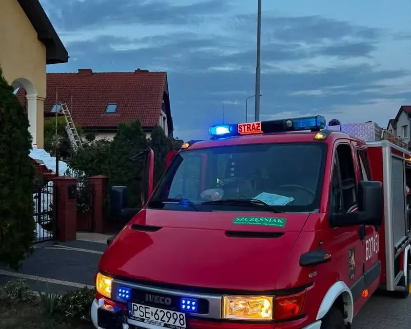 Alarm OSP Śrem: interwencja w związku z owadami błonkoskrzydłymi