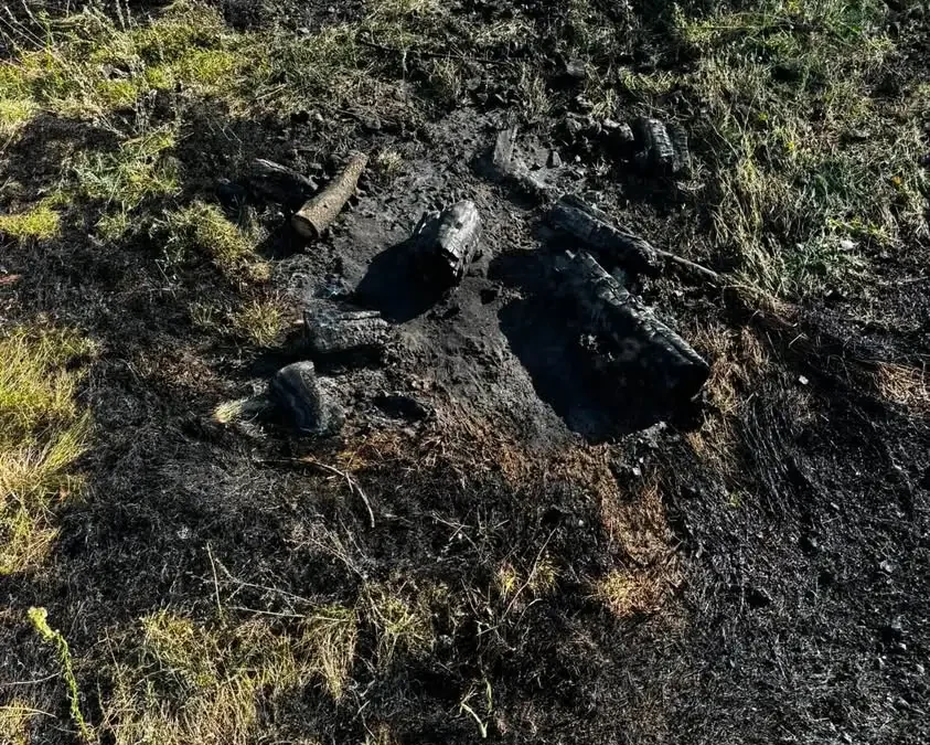 Pożar traw nad Wartą – apel o ostrożność przy ogniskach