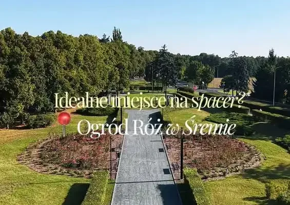Słoneczny spacer wśród róż w Śremie – warto odwiedzić po modernizacji