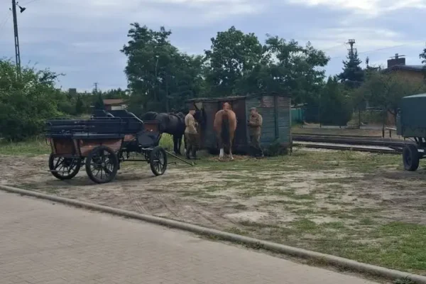 87. rocznica wymarszu Ułanów Poznańskich z Zaniemyśla – rekonstrukcja historyczna