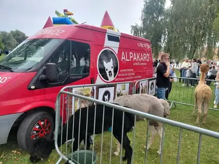 Ekologiczny festyn na targowisku w Śremie. PGK zorganizowało rodzinny piknik