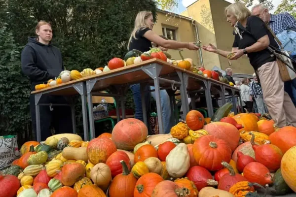 Dzień Korbola w Grzybnie – dyniowe święto przyciągnęło tłumy