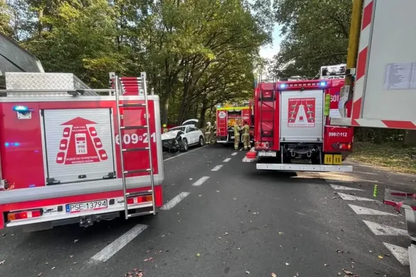 Tragedia w Gajewie. Dwie osoby zginęły na drodze wojewódzkiej nr 437