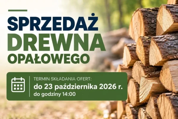 Gmina Dolsk sprzedaje drewno opałowe. Termin składania ofert do 23 października