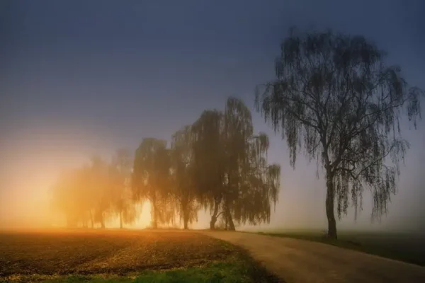 Gęsta mgła nad Wielkopolską. IMGW ostrzega wszystkie powiaty